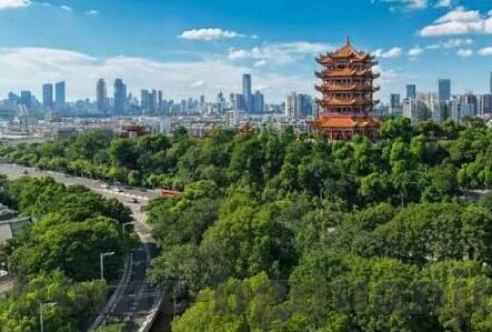 传媒麻豆-解析传媒麻豆现象——草根视界的网络代言人